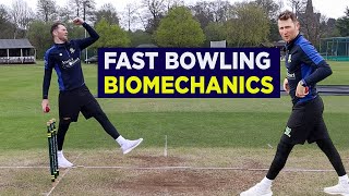 Fast Bowling Biomechanics Cricket How To Bowl Fast amp PREVENT Injury With CORRECT Technique [upl. by Krongold127]