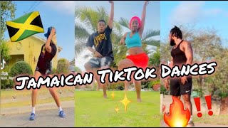 NEW JAMAICAN TIKTOK DANCE MASHUP 2024 [upl. by Andee263]