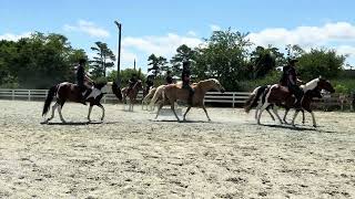 Chincoteague Pony Drill Team [upl. by Nykal]