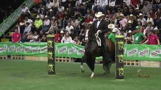 DIAMANTE CAOTICO DE SALEM CAMPEON JOVEN TROCHA COLOMBIANA COPA CIUDAD MEDELLIN GRADO A 2024 [upl. by Nannek]