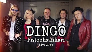 Dingo  Pistoolisankari  Live  Wanaja Festival Hämeenlinna 2024 Nimeni on Dingo 40v [upl. by Nepets731]