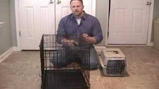 How To Stop a Dog From Barking While Crate Training [upl. by Ahsimrac]