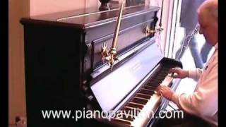 Fly Me To The Moon 1889 Schiedmayer Upright Piano [upl. by Cull]