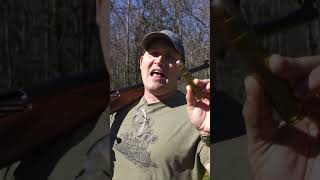 700 BMG Vs Grizzly Bear Kentucky Ballistics [upl. by Sellma]