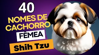 Nomes de cachorro FÊMEA SHIH TZU [upl. by Camilia]