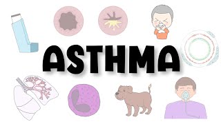 Asthma explained  causes pathophysiology signs amp symptoms diagnosis treatment [upl. by Sigmund688]