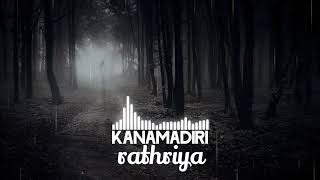 ☠Kanamadiri rathriya☠them song 💥ℜ𝔈𝔐ℑ𝔛💥 [upl. by Roddy696]