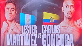 Clash Of Titans Lester Martinez Takes On Carlos Gongora In The Boxing Ring [upl. by Cordier]