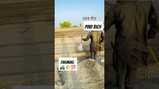 funny happy trending comedy viralvideo farmer farming desi reels viralshorts agriculture [upl. by Neelyam]