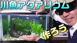 川魚アクアリウム作ってみた。最初から完成まで！ 水槽立ち上げ、魚捕り、水草。 アブラボテ、カワムツ、ドンコ、ヨシノボリ、タナゴ。 [upl. by Anoynek]