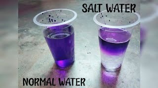 SIMPLE EXPERIMENT OF SALT DENSITYSALT hydralyte Saltreduction saltreduction salttablets [upl. by Ereynihc]