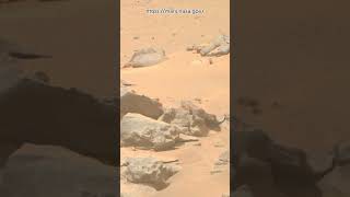 Perseverance Rover Sol 1327  Mars New 4k Video  Mars 4k Video  Mars In 4k  Mars shorts [upl. by Magbie50]