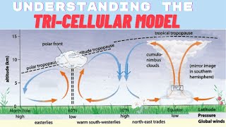 Cape Geography Unit 2 Tri cellular Model [upl. by Hieronymus589]