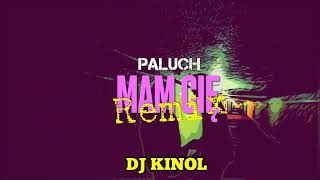 Paluch  Mam Cię  DJ KINOL REMIX [upl. by Miksen]