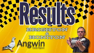 Racing Pigeon Results from Angwin Family Pigeons 2 pigeon races [upl. by Kev524]