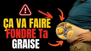 CELA FERA FONDRE VOTRE GRAISSE DU VENTRE UNE FOIS POUR TOUTES  ÉPROUVÉ [upl. by Naga]