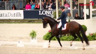 Diederik van Silfhout  Arlando NH NOP  CHIO Rotterdam  2015 [upl. by Nole354]