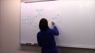 AlphaAmylase Experiment function location structure mechanism and song [upl. by Elocan621]