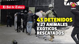 RESCATAN 27 ANIMALES EN PELIGRO DE EXTINCIÓN estadodemexico ocoyoacac noticias [upl. by Eixel]