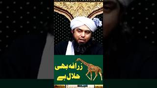 ZARAFA bi Halal Ha💥engineermuhammadalimirza ytshorts viralvideo [upl. by Alonzo]