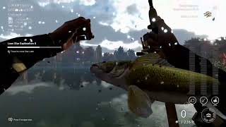 playing fishing planet on emerald lake catching walleye and more [upl. by Amethyst594]