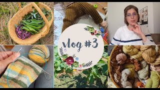 Vlog 3  Teinture végétale tricot et jardin [upl. by Halda]