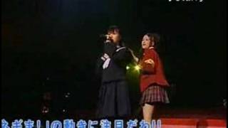 Negima Live Action Shibuya Performance  Kazumi Sayo [upl. by Beaumont362]