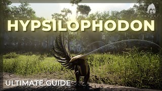 HYPSILOPHODON Ultimate Guide  The Isle Evrima [upl. by Yaja885]