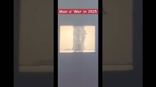 Man o War Thoroughbred Race Horse 16mm historical footage [upl. by Siuoleoj289]