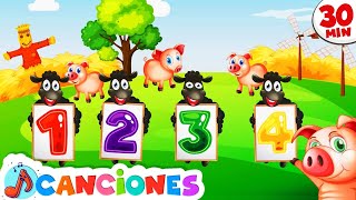 Baa Baa Ovejita Negra 🐑 Canción de la Granja y Mas Rimas infantiles y Canciones Infantiles [upl. by Seagraves]