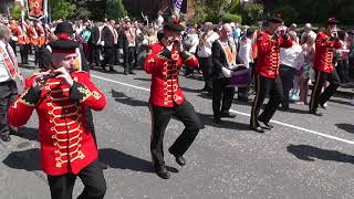 Coatbridge Big Walk 2013 [upl. by Edahc]