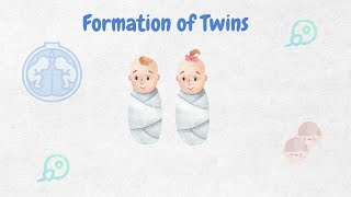 Formation of Twins ll Biology ll [upl. by Kuska]