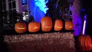 Mesmerizing 5 Pumpkin Singing Display  Must See Halloween Special [upl. by Roma]