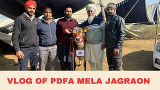 VLOG OF PDFA MELA JAGRAON  AULAKH DIARY FARM  RAMPURA PHUL  BATHINDA [upl. by Eboj]