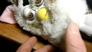 furby starves to death [upl. by Marcia974]