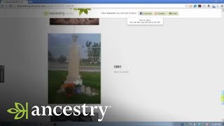 Ancestrycom Online Family Trees Story View  Ancestry [upl. by Ursula]