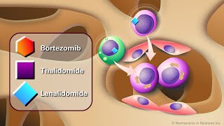 Novel AntiCancer Agents for Multiple Myeloma [upl. by Iain]