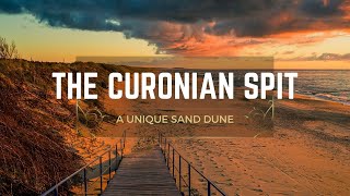 A unique Sand Dune  The Curonian Spit in lithuania [upl. by Ahsanat2]