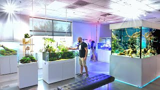 Fish Tanks Like Youve NEVER SEEN Before INSANE Aquarium Store Tour ADG Texas [upl. by Mensch156]