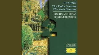 Brahms Violin Sonata No 1 in G Major Op 78  II Adagio [upl. by Dnalrag]