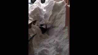 Epic snow tunnel collapse [upl. by Laehplar451]