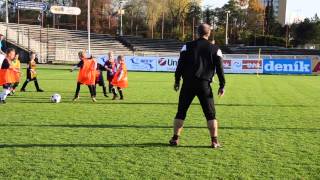 Fotbalová akademie FC Hradec Králové [upl. by Aurlie]