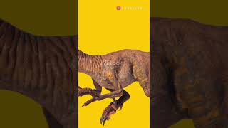 Topp 10 factss about dinosaurs factsfactsaboutspaceandthenivers youtubeyoutubeshortssubscribe [upl. by Nwahsed775]