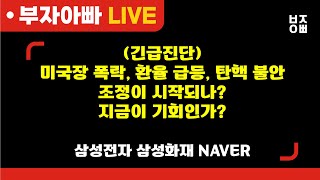 미국장 폭락 환율 급등 탄핵 불안 조정이 시작되나 지금이 기회인가ㅣ삼성전자 기아 NAVER 셀트리온 한화오션 에코프로비엠 HLB 삼성중공업 오리엔트정공 루닛 [upl. by Lindahl]