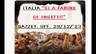 Italia quotSI a Farine DI INSETTIquot Gazzetta Ufficiale 291223 [upl. by Akinej]