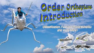 Insect Orders Part 3 Orthoptera A Introduction  By Dr Imran Khatri [upl. by Wanfried]