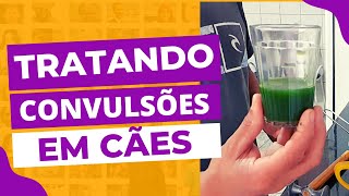 Tratamento ALTERNATIVO para CONVULSÕES em CACHORROS [upl. by Denie945]