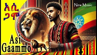 Music Style3ኣሲ ጋሞAssi GaammoNew EthiopiaGamo People Music 2017EC [upl. by Nnyleak]