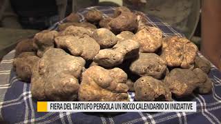 Fiera del tartufo di Pergola un ricco calendario di iniziative [upl. by Pyne216]