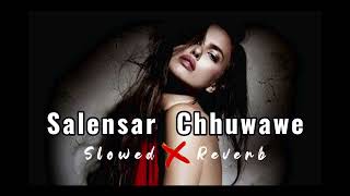 Bhatar Jab Salensar Chuwawe LoFiSong Slowed and Reverb awdheshpremibhojpurinewvideo [upl. by Atiuqiram]